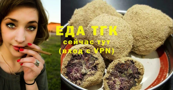 индика Медногорск