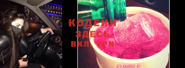 индика Медногорск
