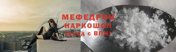 индика Медногорск