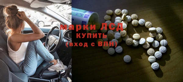 индика Медногорск