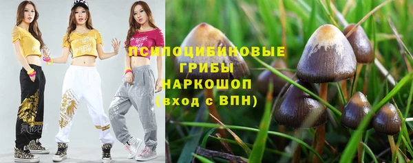 дживик Медвежьегорск