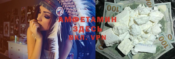 крисы Нижний Тагил